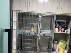 -半岛宠物医院24小时(科华中路店)