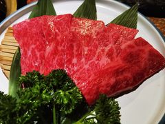 -炼火烤肉店