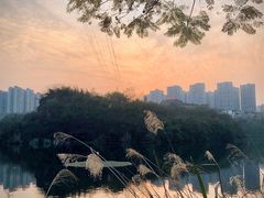 -重庆彩云湖湿地公园
