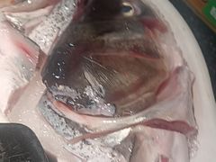 -柯三姐重庆老火锅(府山店)