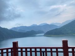 -燕塞湖鸟语林景区