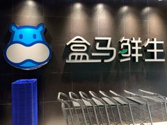 -盒马鲜生(曜一城店)