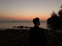 -宝安西湾红树林湿地公园