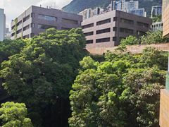 -香港大学
