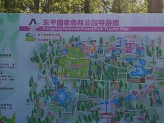 -东平国家森林公园