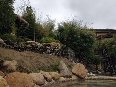 -旅宁大酒店