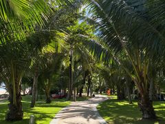 -三亚海棠湾万丽度假酒店