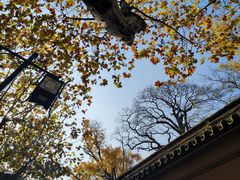 -苏州碑刻博物馆