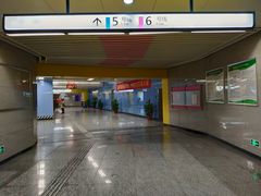 -大龙山(地铁站)