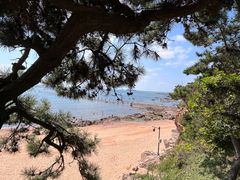 -青岛第二海水浴场