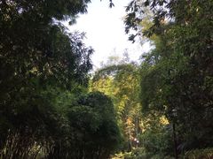 景点-望江楼公园