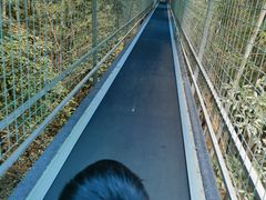 -石燕湖生态旅游景区