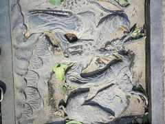 -绿地·中山里