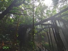 -青青世界