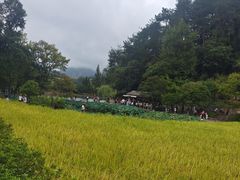 -韶山毛泽东同志故居