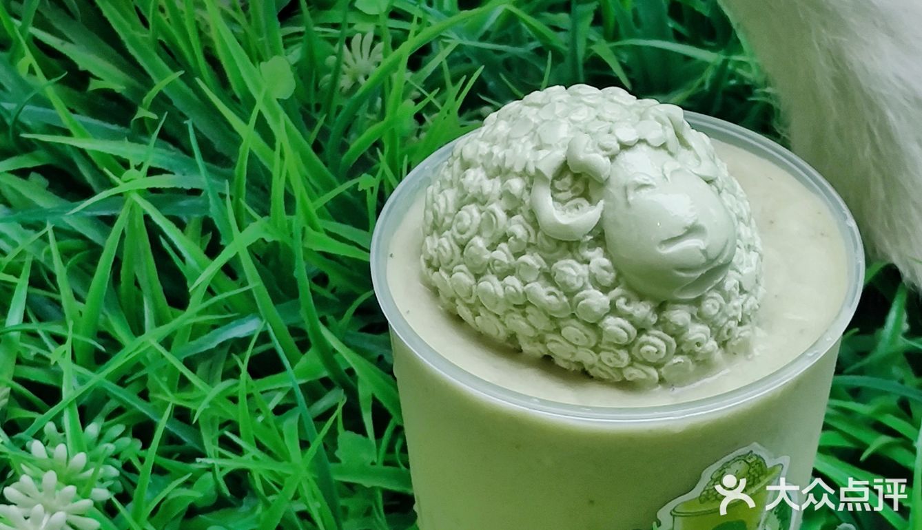 敲好喝的羊乳茶，你还没get❓