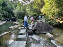 -广州白江湖森林公园