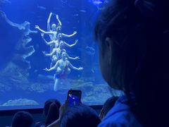 -多彩贵州城极地海洋世界