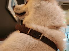 -BOCATA 西班牙餐厅(三里屯店)