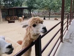 -杭州野生动物世界