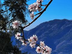 -香山公园
