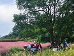 -东海半边山旅游度假区