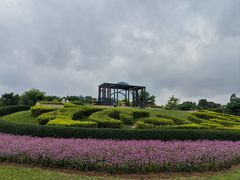 -东莞植物园