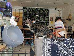 -平行世界·猫咖(首经贸店)