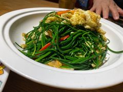 -毡房姑娘·新疆菜·烧烤