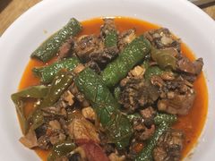 -滇铺子·云南特色菜·第九届野生菌美食节(东风东路c86店)