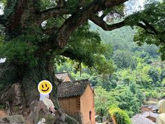 -杨家堂村