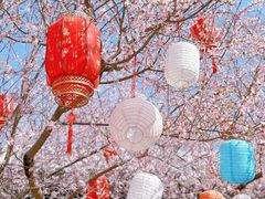 -三里河公园