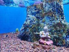 -海合安成都极地海洋公园