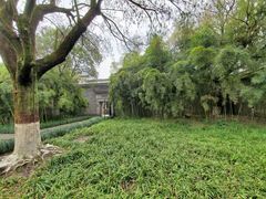 -昭明书院