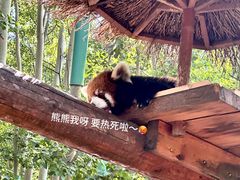 -北京野生动物园