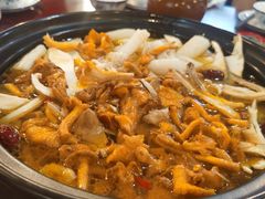 -蘑统田下·野生菌火锅