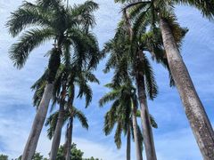 -麦哲伦丝绸度假村