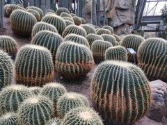 -南山植物园