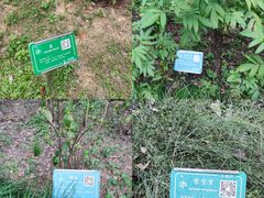 -杭州植物园