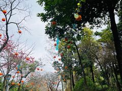 -云溪植物园