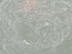 -天鹅湖体育公园