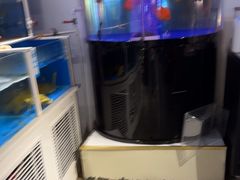 -金汤宴餐厅·粤菜(德云社店)