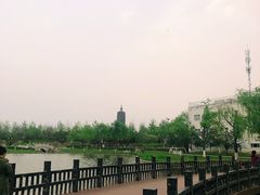 -西海子公园