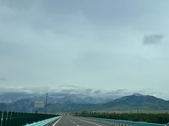 -马白开来特色羊排揪片子  (总店)