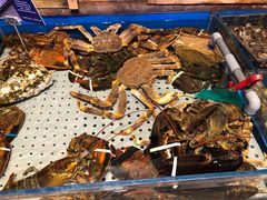 -开海·红岛海鲜虾水饺(石老人店)
