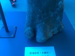 -辽宁古生物博物馆