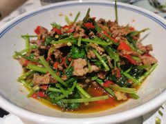 -壹盏灯(惠农店)