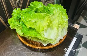 Garden Lettuce Salad