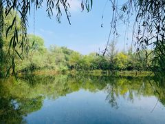 -溱湖国家湿地公园