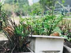 -杭州城北体育公园